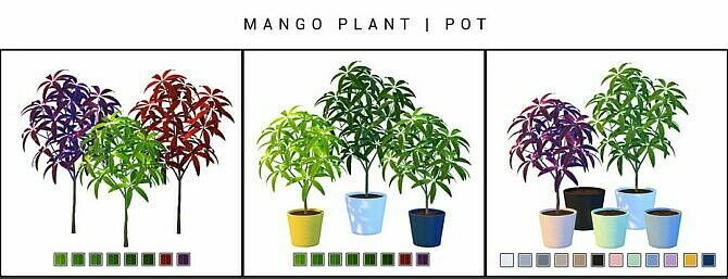 Daya Mango Plant At Nynaeve Design 2 sims 4 cc daya mango plant at nynaeve design 2