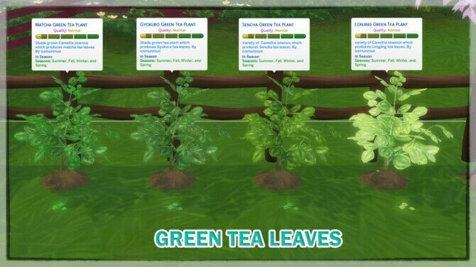 Harvestable Green TEA Leaves At Icemunmun 1 Harvestable Green TEA Leaves At Icemunmun Sims 4 CC