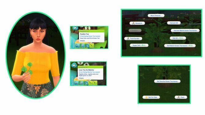 Harvestable Green TEA Leaves At Icemunmun 2 sims 4 cc harvestable green tea leaves at icemunmun 2