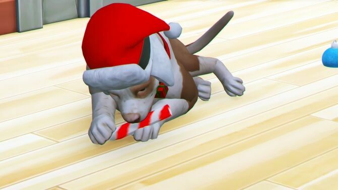 Holiday PET SET By Thiago Mitchell 6 sims 4 cc free download holiday pet set by thiago mitchell by redheadsims 4