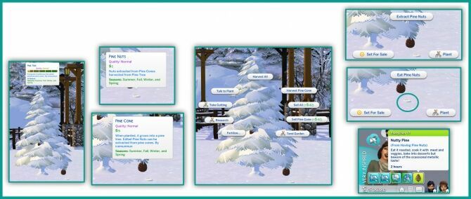 Harvestable Pine Cone And Pine Nuts By Icemunmu 2 sims 4 cc get free harvestable pine cone and pine nuts by icemunmu 2