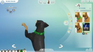 Service DOG Collars For Small Dogs By Emilitarabbit Sims 4 CC