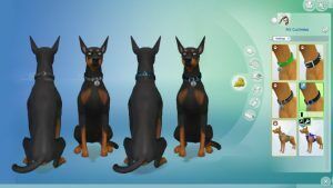 Disreputable DOG Collar By Emilitarabbit P By Mod The Sims 2 sims 4 cc most downloaded disreputable dog collar by emilitarabbit p by mod the sims 2