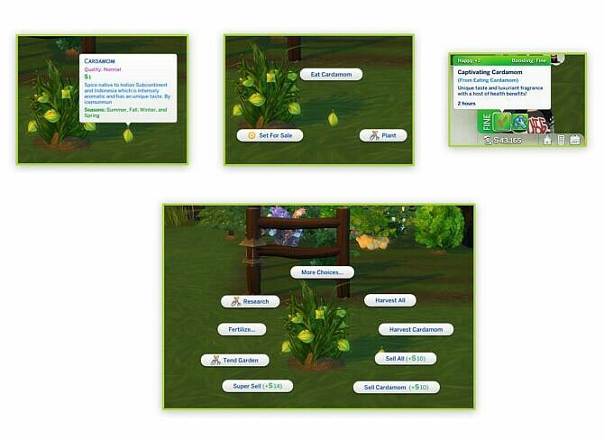Harvestable Cardamom By Icemunmun 2 sims 4 cc must see harvestable cardamom by icemunmun 2