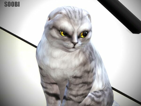 CAT Eyes V01 By Soobi 1 CAT Eyes V01 By Soobi Sims 4 CC