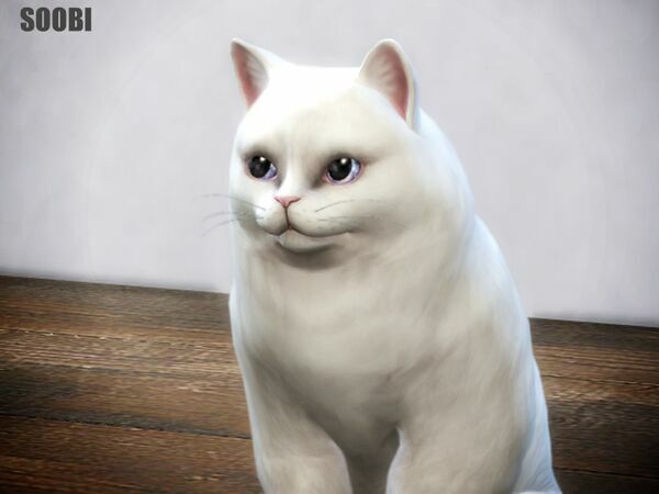 CAT Eyes V01 By Soobi 2 sims 4 cc recent cat eyes v01 by soobi by tsr 2