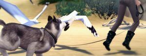 Take The Lead | DOG Leash Override By Magnolian Farewell 2 sims 4 cc recent take the lead dog leash override by magnolian farewell 2
