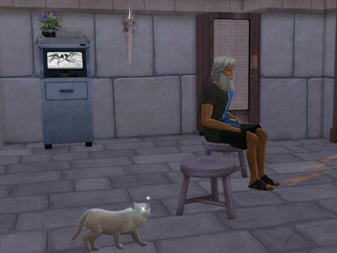Roar And Grunt VET At Kyriat’s Sims 4 World 3 sims 4 cc roar and grunt vet at kyriats sims 4 world 3
