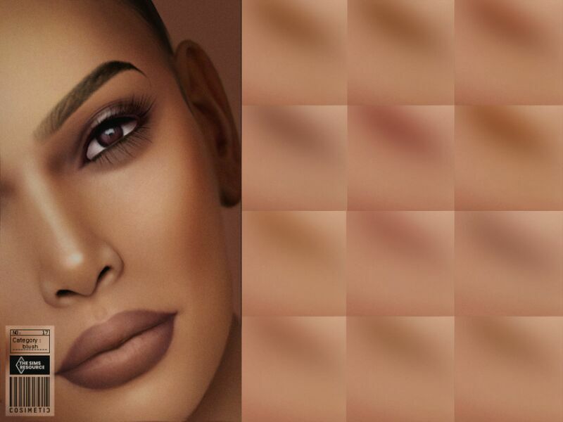 Blush | N17 By Cosimetic 1 Blush | N17 By Cosimetic Sims 4 CC