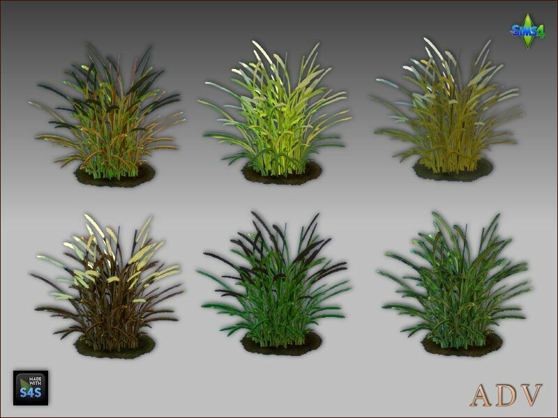 LOW And High Reed Grass 3 sims 4 cc low and high reed grass 3