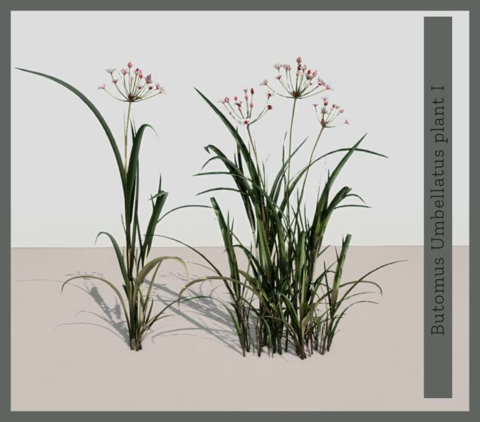 Natura SET 10 sims 4 cc natura set 3