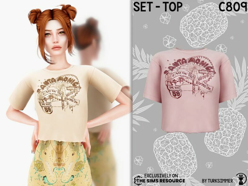 Set-Top C809 By Turksimmer 1 Set-Top C809 By Turksimmer Sims 4 CC