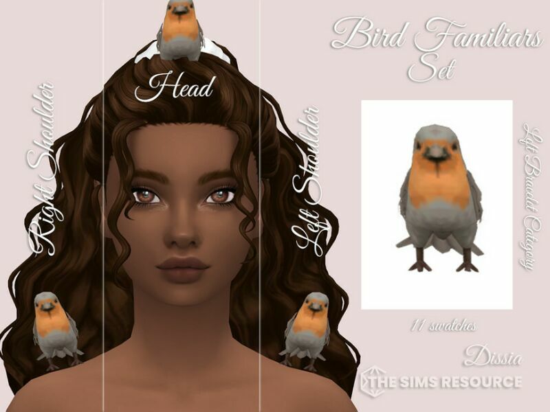 Bird Familiar SET By Dissia 1 Bird Familiar SET By Dissia Sims 4 CC
