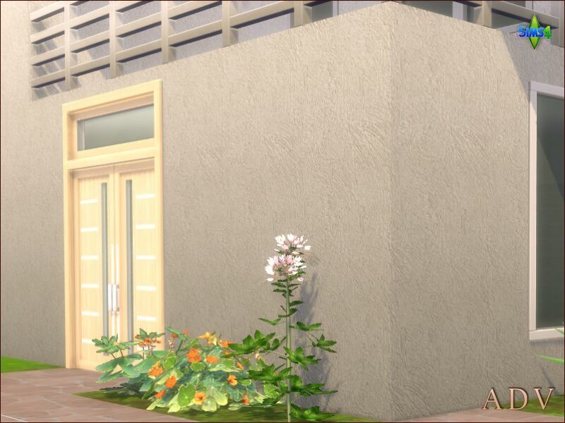 Exterior Plaster Walls 2 sims 4 cc exterior plaster walls 11