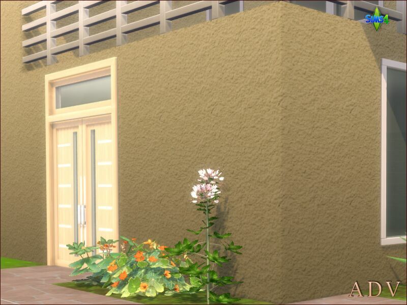 Exterior Plaster Walls 4 sims 4 cc exterior plaster walls 8