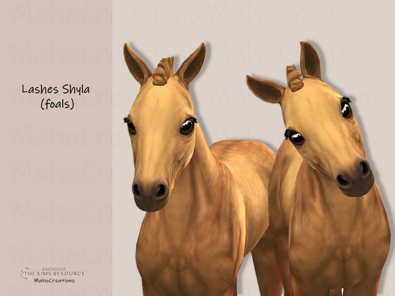 Horse Eyelashes Shyla – Foals By Mahocreations 1 Horse Eyelashes Shyla – Foals By Mahocreations Sims 4 CC