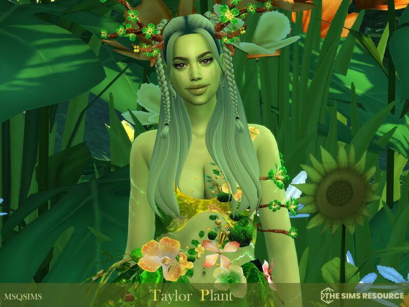 Taylor Plant – TSR CC Only By Msqsims 2 sims 4 cc taylor plant tsr cc only by msqsims 4