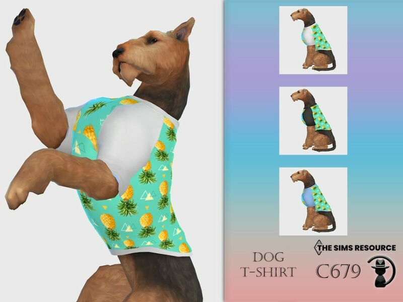 DOG T-Shirt C679 By Turksimmer 1 DOG T-Shirt C679 By Turksimmer Sims 4 CC