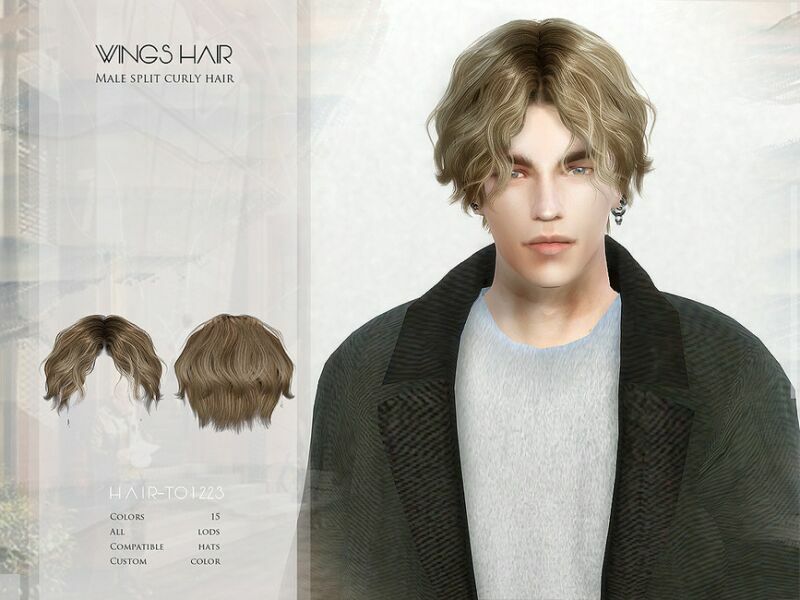 Male Split Curly Hair – TO1223 By Wingssims 1 Male Split Curly Hair – TO1223 By Wingssims Sims 4 CC