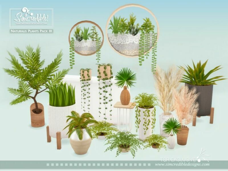 Naturalis Plants III By Simcredible! 1 Naturalis Plants III By Simcredible! Sims 4 CC