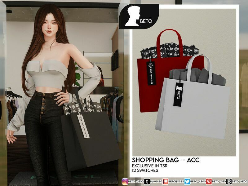 Shopping BAG (ACC) 1 Shopping BAG (ACC) Sims 4 CC