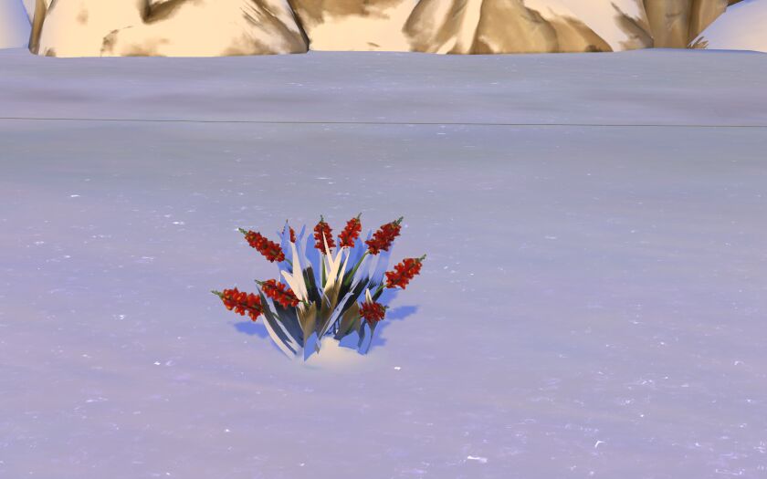 Gardening Plants: 10 Harvestables / ALL Seasons / NO Glow 1 Gardening Plants: 10 Harvestables / ALL Seasons / NO Glow Sims 4 CC