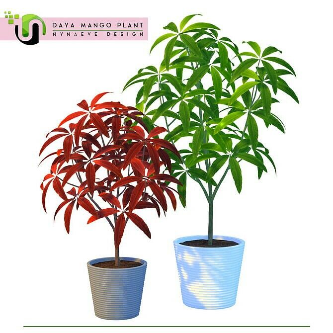 Daya Mango Plant Sims 4 CC Download