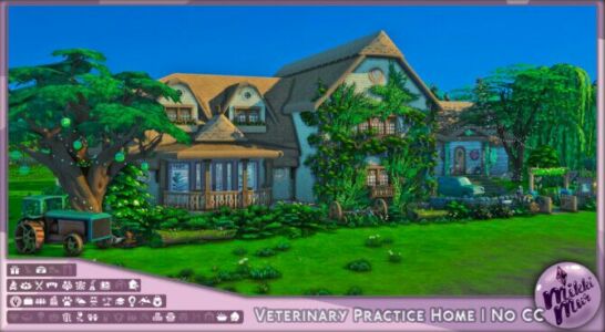 Veterinary Practice Home By Mikkimur Sims 4 CC