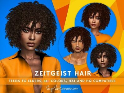 Zeitgeist Afro Hair Sims 4 CC