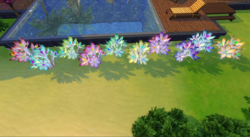 Crocus Vernus 2 sims 4 cc crocus vernus 4