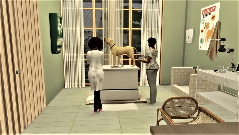 Pet Clinic 3 sims 4 cc pet clinic can now be downloaded from my patreon 13