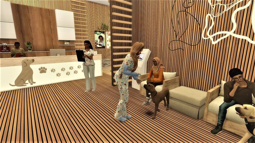 Pet Clinic 10 sims 4 cc pet clinic can now be downloaded from my patreon 6