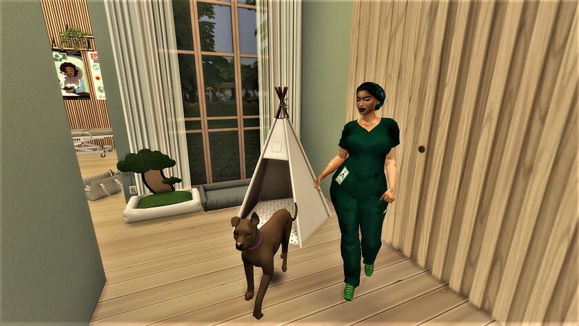 Pet Clinic 9 sims 4 cc pet clinic can now be downloaded from my patreon 7