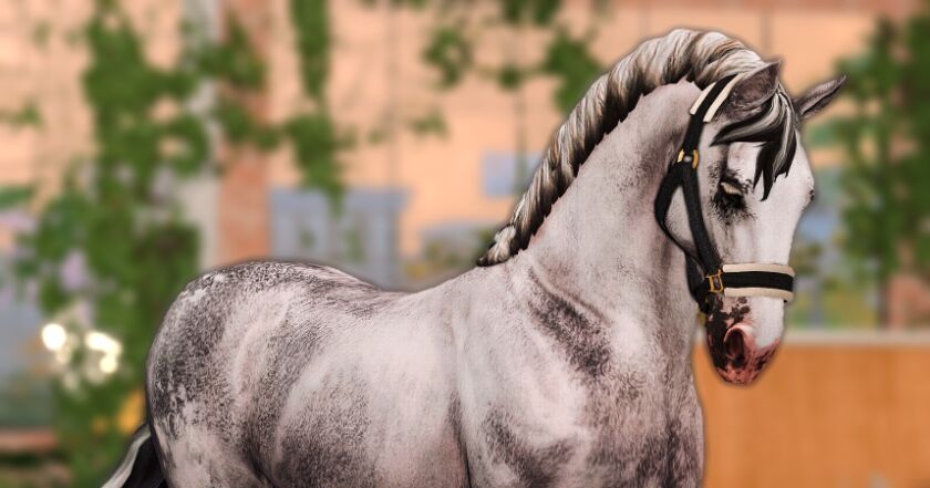 Cloudy - Nylon Halters 2 sims 4 cc cloudy cabrestos de nylon 3