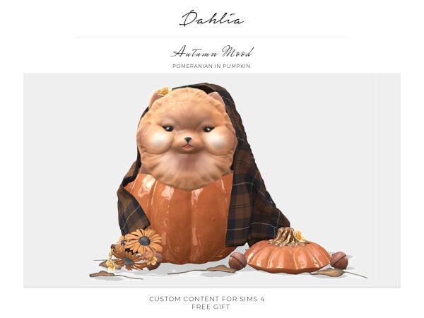 Dahlia Pomeranian In Pumpkin 1 Dahlia Pomeranian In Pumpkin Sims 4 CC