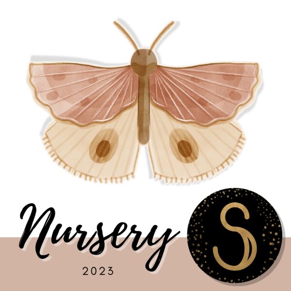 Charming Butterfly Wall Stickers for Nursery 1 Charming Butterfly Wall Stickers for Nursery Sims 4 CC