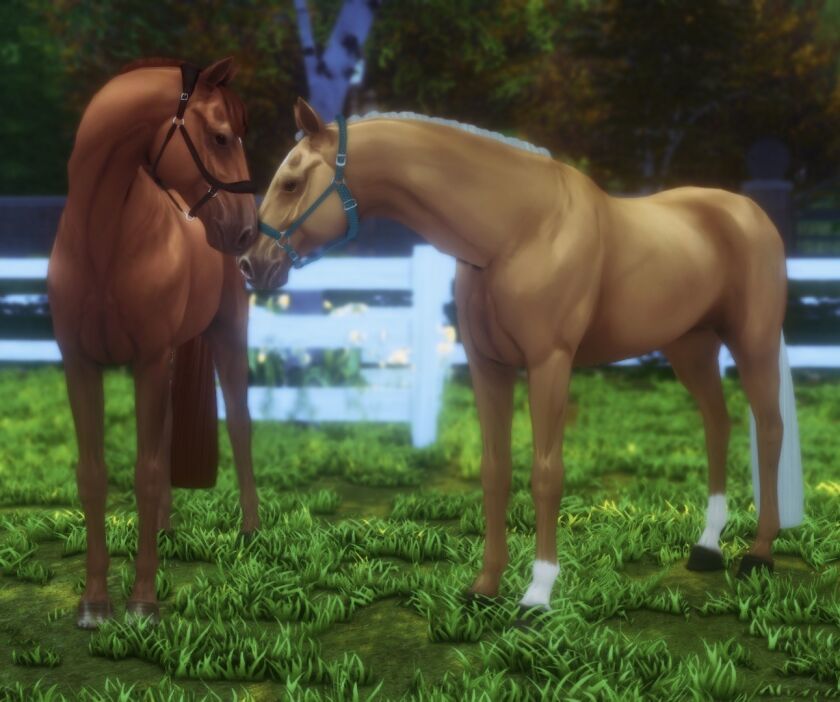 Seeking Support in Tough Times 1 Seeking Support in Tough Times Sims 4 CC