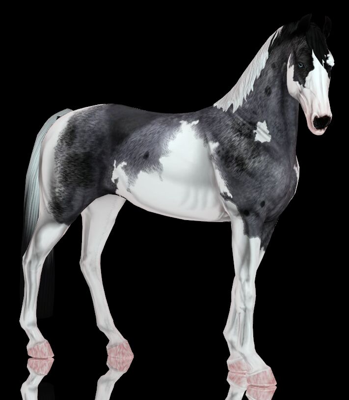 Colorful Hooves for Sims Horses 5 sims 4 cc painted colored hooves 4