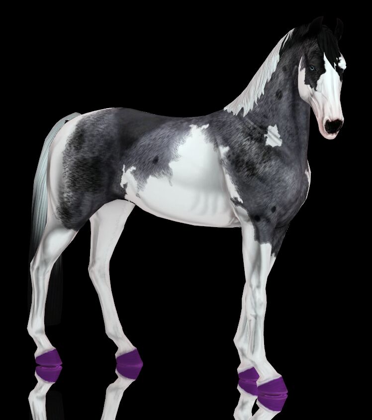 Colorful Hooves for Sims Horses 4 sims 4 cc painted colored hooves 5