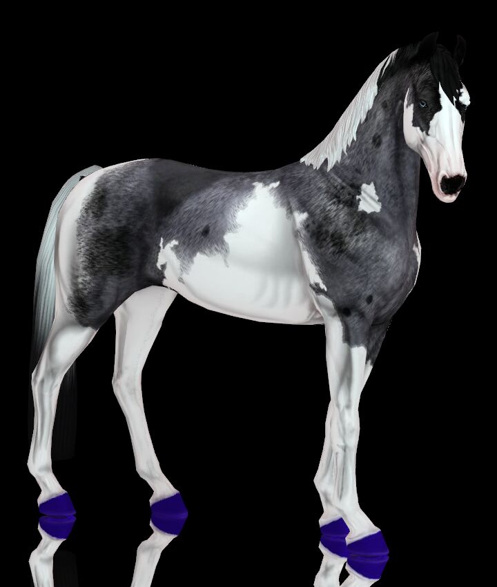 Colorful Hooves for Sims Horses 2 sims 4 cc painted colored hooves 6