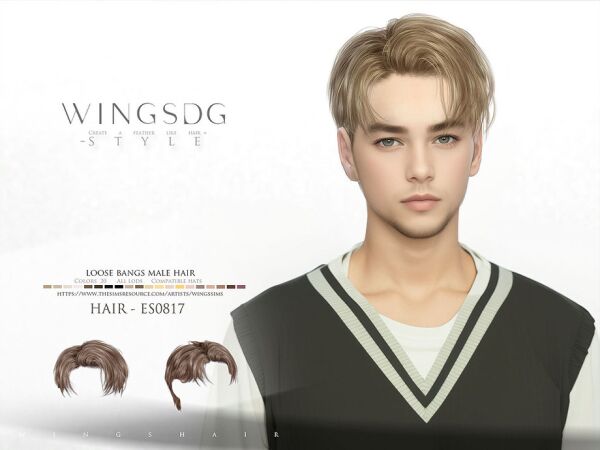 Stylish Loose Bangs Male Hair for Sims 1 Stylish Loose Bangs Male Hair for Sims Sims 4 CC