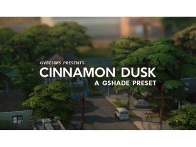 Cinnamon Dusk – Gshade Preset Sims 4 CC
