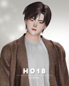 Nilyn Hair H018 Sims 4 CC