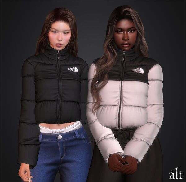 Stylish The North Face Jacket by Ali_S4Cc 1 Stylish The North Face Jacket by Ali_S4Cc Sims 4 CC