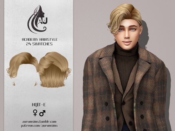 Maxis Match Academy Hairstyle for Sims 4 1 Maxis Match Academy Hairstyle for Sims 4 Sims 4 CC
