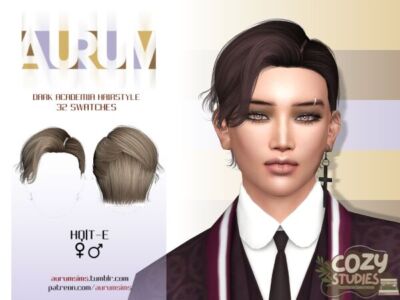 Elegant Dark Academia Hairstyle Sims 4 CC