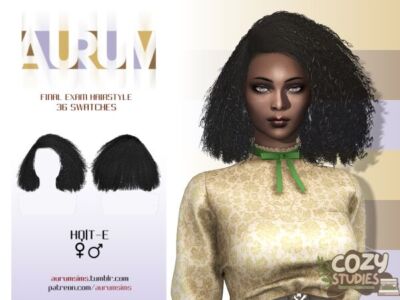 Final Exam Hairstyle Sims 4 CC