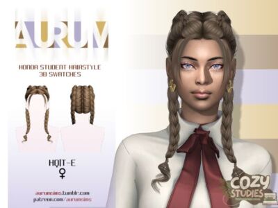 Honor Student Hairstyle Sims 4 CC