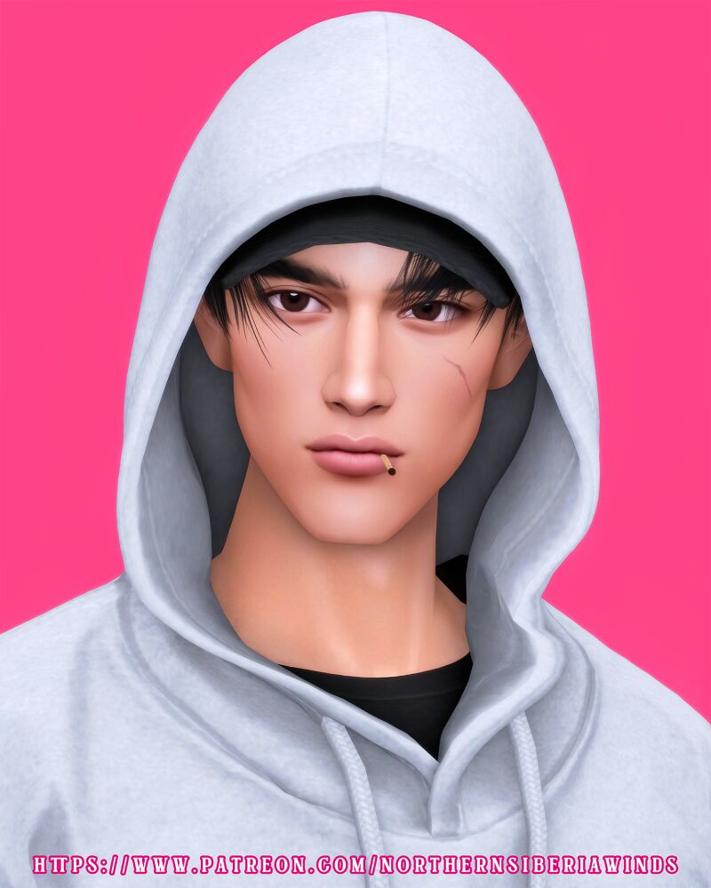 Skins Genetics Presets for Your Sims 2 sims 4 cc skins genetics presets by northern siberia winds 2